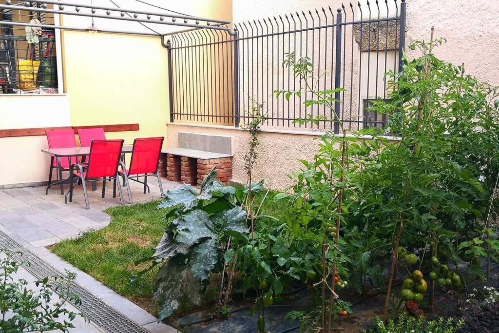 Apartament Cozy House With Garden In The Old Town Saloniki Zewnętrze zdjęcie